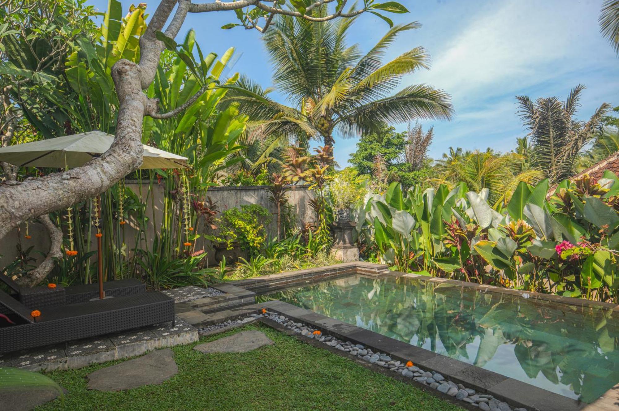 Taluh Bebek Ubud Private Villas Dış mekan fotoğraf
