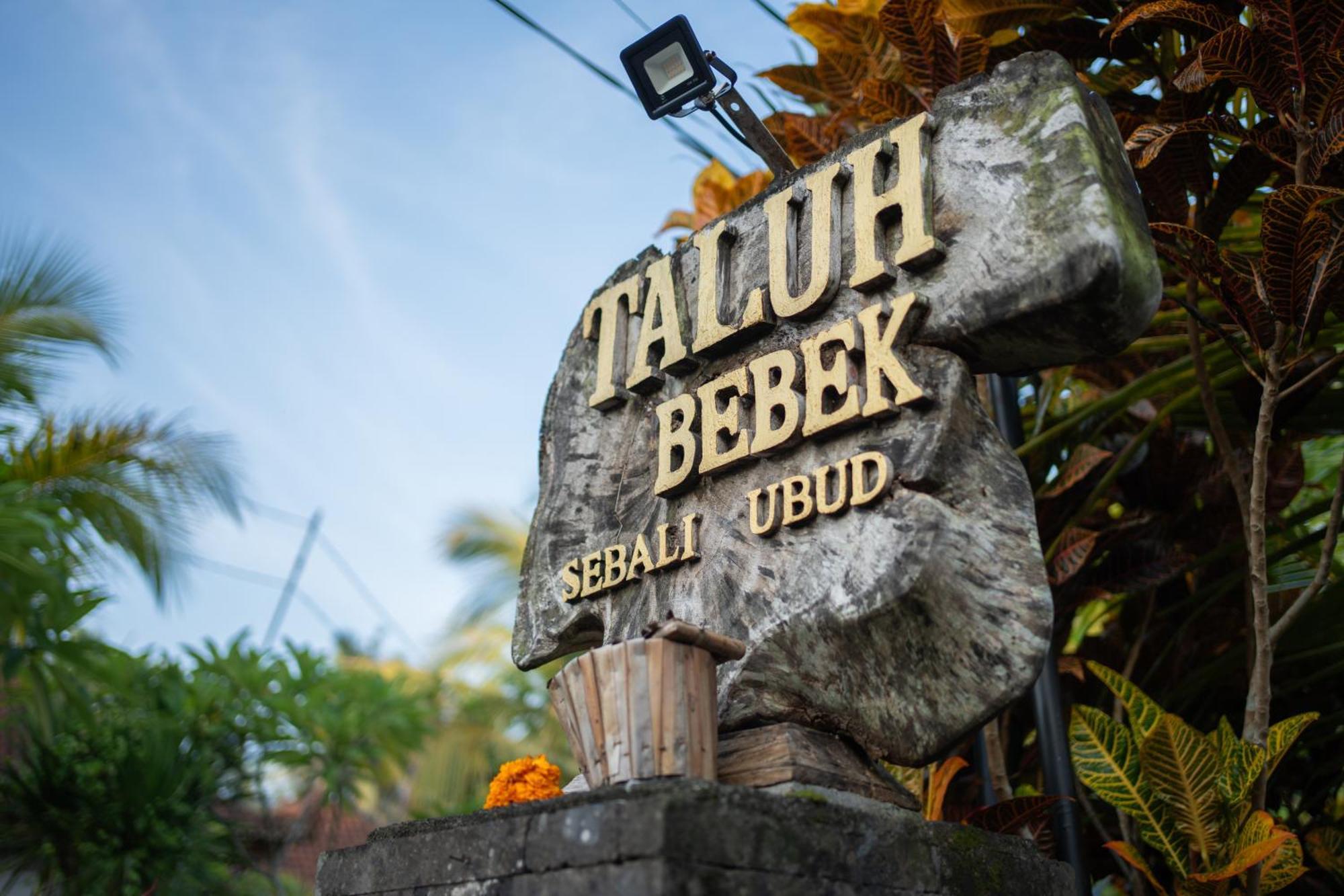 Taluh Bebek Ubud Private Villas Dış mekan fotoğraf